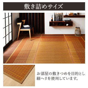 Simplistic Rugs Japanese IKEHIKO Japanese Modern Simple Igusa Rug Carpet Made in Japan Durable